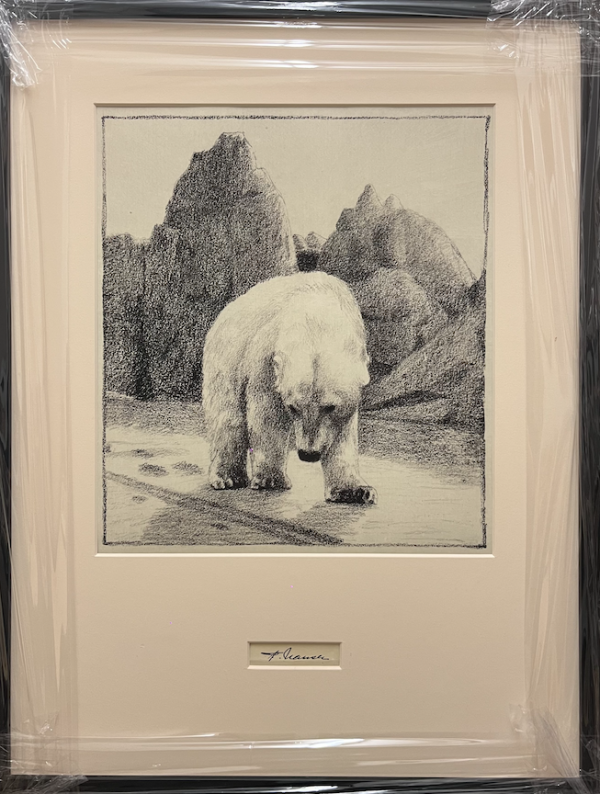Polar Bear 2 - High Quality Framed Print - The Art Of Fridtjof Nansen