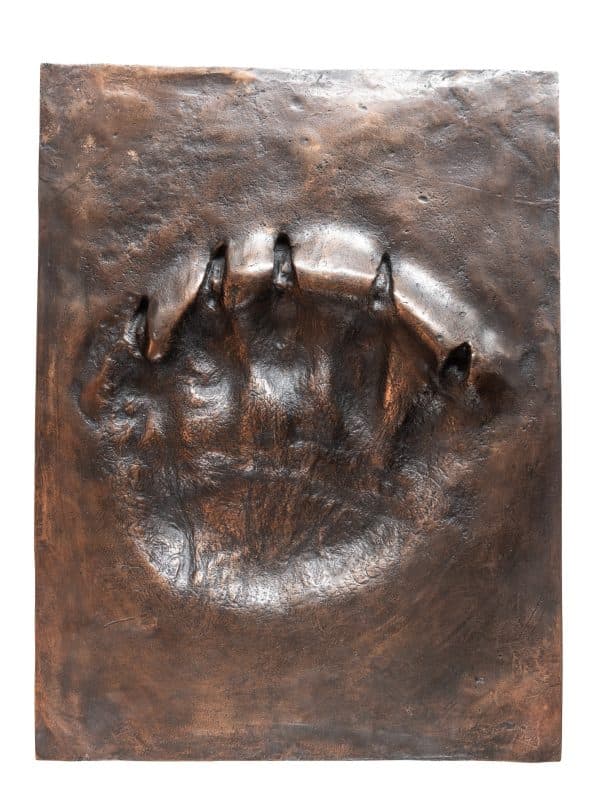 Ltd. Edition Polar Bear Paw Print in Bronze